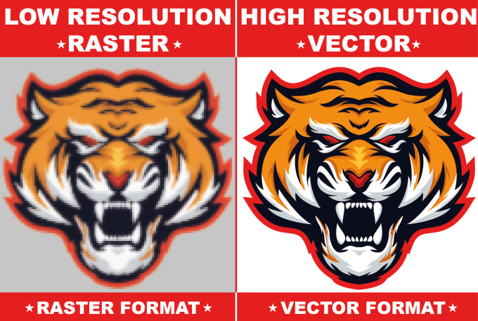 Vector Art Service